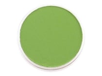 PanPastel oxide de chrome moyen