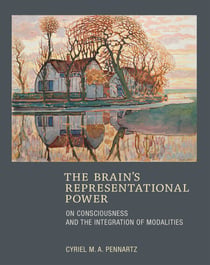 The Brain's Representational Power - On Consciousness and the Integration of Modalities