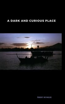 A Dark and Curious Place - Vietnam War Era