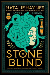 Stone Blind - A Novel