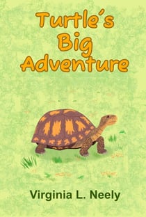 Turtle's Big Adventure