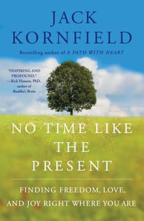 No Time Like the Present - Finding Freedom, Love, and Joy Right Where You Are