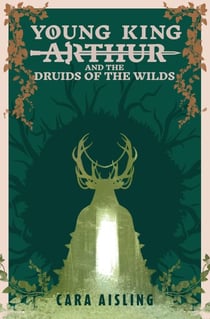 Young King Arthur and the Druids of the Wilds - King Arthur Series, #2