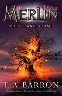 The Eternal Flame - Book 11