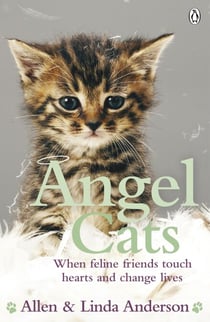 Angel Cats - When feline friends touch hearts and change lives