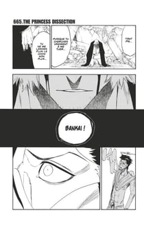 Bleach - T73 - Chapitre 665 - THE PRINCESS DISSECTION