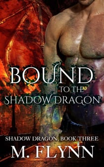 Bound to the Shadow Dragon: Shadow Dragon Book 3 (Dragon Shifter Romance) - Shadow Dragon, #3