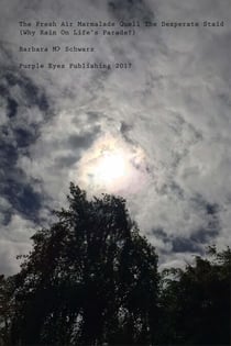 The Fresh Air Marmalade Quell The Desperate Staid (Why Rain On Life's Parade?)
