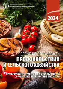 ????????? ??? ? ??????? ?????????????? ? ????????? ????????? 2024: ?????????????? ????????????????????? ?????? ? ??????????? ?? ?????????? ?????????