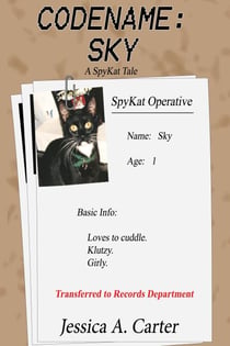 Codename: Sky - The SpyKat Tales, #5
