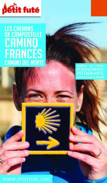 CHEMINS COMPOSTELLE - CAMINO FRANCES 2020 Petit Futé