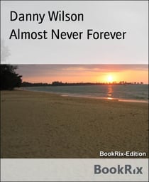 Almost Never Forever