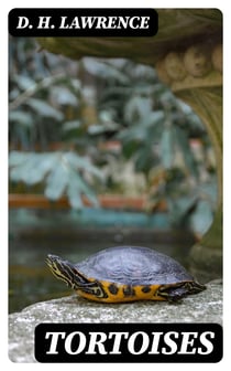 Tortoises