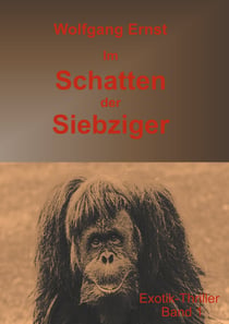 Im Schatten der Siebziger Band 1 - Missbrauch