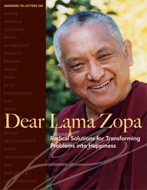 Dear Lama Zopa - Radical Solutions for Transforming Problems into Happiness