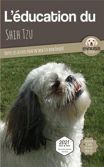 L'éducation du Shih Tzu : toutes les astuces pour un Shih Tzu bien éduqué
