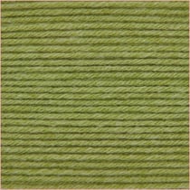Pelote de fil à tricoter - Rico Design - Baby Classic DK - Pistache 78
