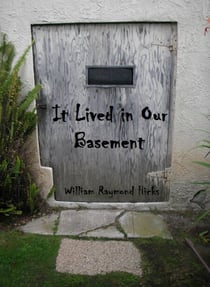 It Lived in Our Basement - Adventures with Joe, #2