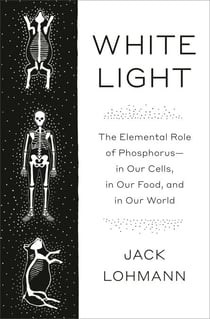 White Light - The Elemental Role of Phosphorus-in Our Cells, in Our Food, and in Our World