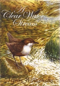 A Clear Water Stream - Henry Williamson Collections, #11
