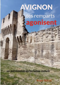 Avignon, tes remparts agonisent - Un patrimoine mondial qu'on laisse mourir