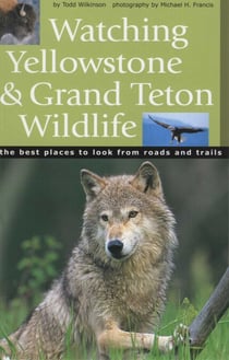 Watching Yellowstone and Grand Teton Wildlife - The Best Places to Look from Roads and Trails