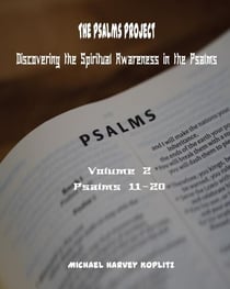 The Psalms Project Volume Two Discovering the Spiritual World through the Psalms – Psalm 11 to 20 - Psalms Project, #2