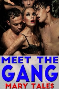 Meet The Gang - Meet The Gang, #1