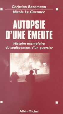 Autopsie d'une émeute - Histoire exemplaire du soulèvement d'un quartier. Histoire exemplaire d'un quartier nord de Melun