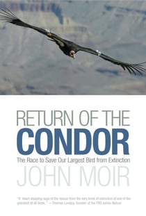Return of the Condor - The Race to Save Our Largest Bird from Extinction