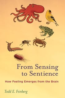 From Sensing to Sentience - How Feeling Emerges from the Brain