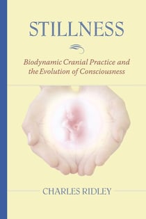 Stillness - Biodynamic Cranial Practice and the Evolution of Consciousness