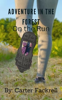 Adventure in the Forest: On the Run - Adventure in the Forest, #1