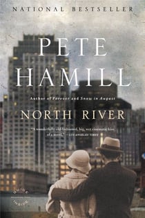 North River - A Novel
