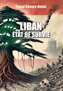 Liban. État de survie