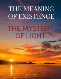 The Meaning of Existence. The Mystery of Light