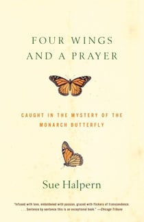 Four Wings and a Prayer - Caught in the Mystery of the Monarch Butterfly