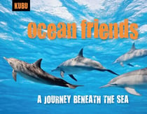 Ocean Friends - A Journey Beneath the Sea