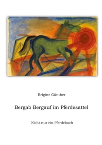 Bergab Bergauf im Pferdesattel - Nicht nur ein Pferdebuch