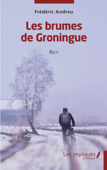Les brumes de Groningue - Récit