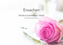 Erwachen - Einsichten aus der Stille