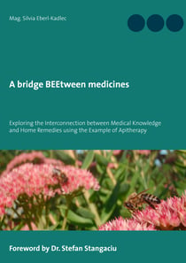 A bridge BEEtween medicines - Exploring the Interconnection between Medical Knowledge and Home Remedies using the example of Apitherapy.