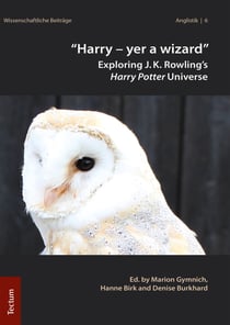 Harry – yer a wizard" - Exploring J.K. Rowling's Harry Potter Universe
