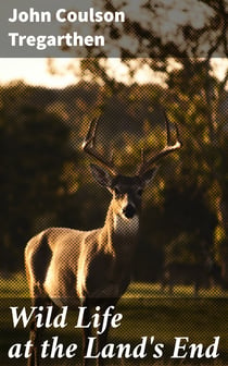 Wild Life at the Land's End
