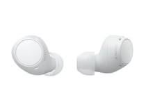 Ecouteurs sans fil - Sony WF-C510 - Blanc