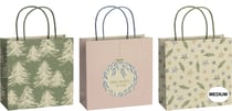 Pictura - Sac cadeau SSET
