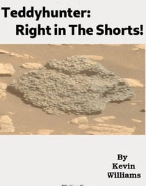 Teddyhunter: Right in the Shorts - teddyhunter, #8