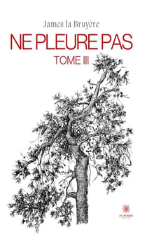Ne pleure pas - Tome 3