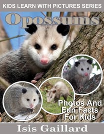 Opossums Photos and Fun Facts for Kids - Kids Learn With Pictures, #110