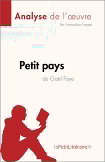Petit pays de Gael Faye (Analyse de l'œuvre) - Résumé complet et analyse détaillée de l'oeuvre